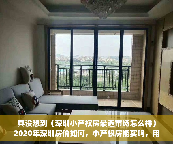 真没想到（深圳小产权房最近市场怎么样）2020年深圳房价如何，小产权房能买吗，用来投资自住怎么样？，深圳小产权房好卖出去吗，
