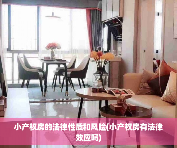 小产权房的法律性质和风险(小产权房有法律效应吗)