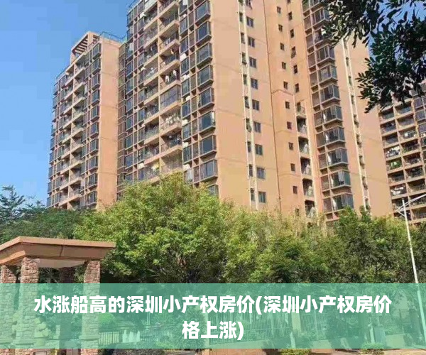 水涨船高的深圳小产权房价(深圳小产权房价格上涨)