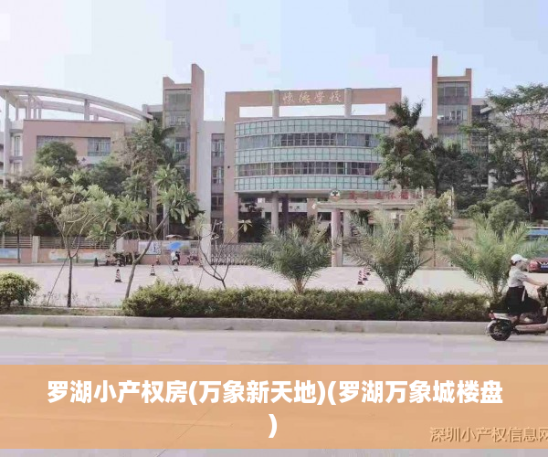 罗湖小产权房(万象新天地)(罗湖万象城楼盘)