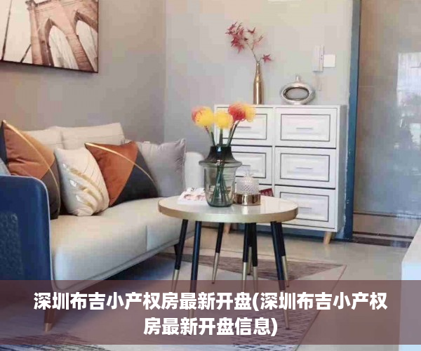 深圳布吉小产权房最新开盘(深圳布吉小产权房最新开盘信息)