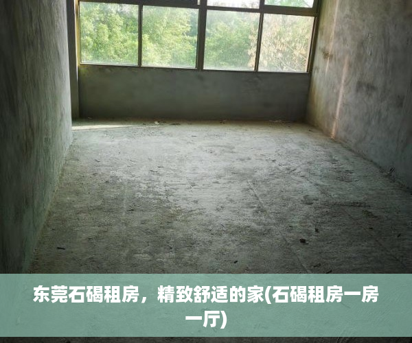 东莞石碣租房，精致舒适的家(石碣租房一房一厅)