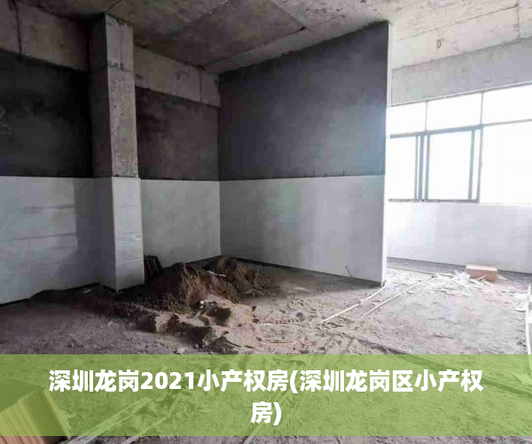 深圳龙岗2021小产权房(深圳龙岗区小产权房)