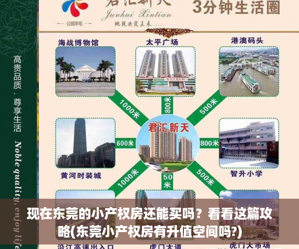 现在东莞的小产权房还能买吗？看看这篇攻略(东莞小产权房有升值空间吗?)