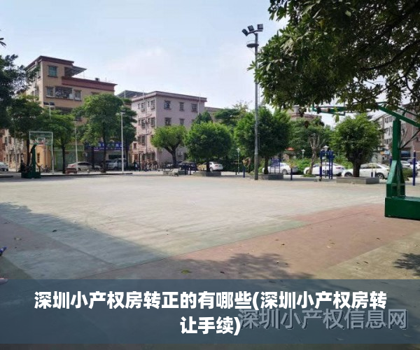 深圳小产权房转正的有哪些(深圳小产权房转让手续)