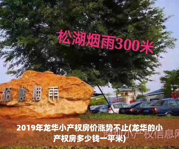 2019年龙华小产权房价涨势不止(龙华的小产权房多少钱一平米)