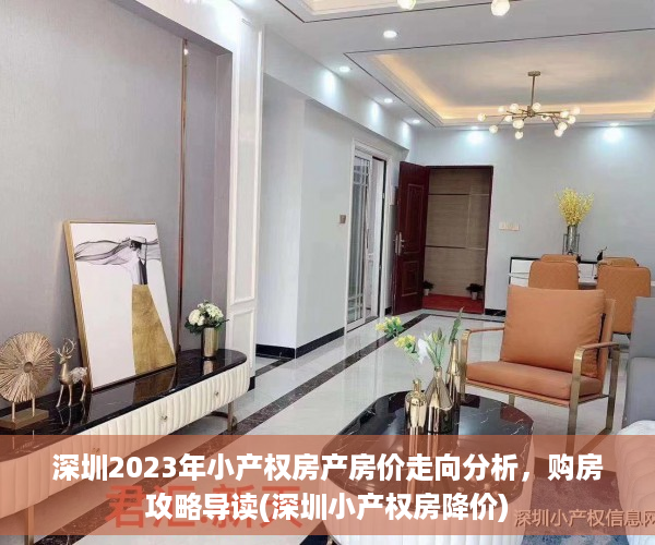 深圳2023年小产权房产房价走向分析，购房攻略导读(深圳小产权房降价)