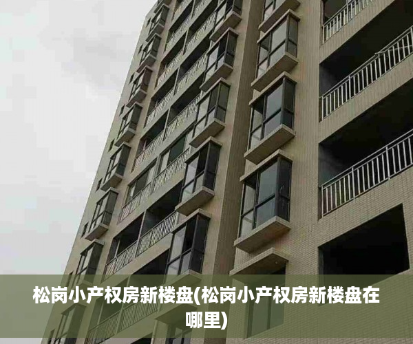 松岗小产权房新楼盘(松岗小产权房新楼盘在哪里)