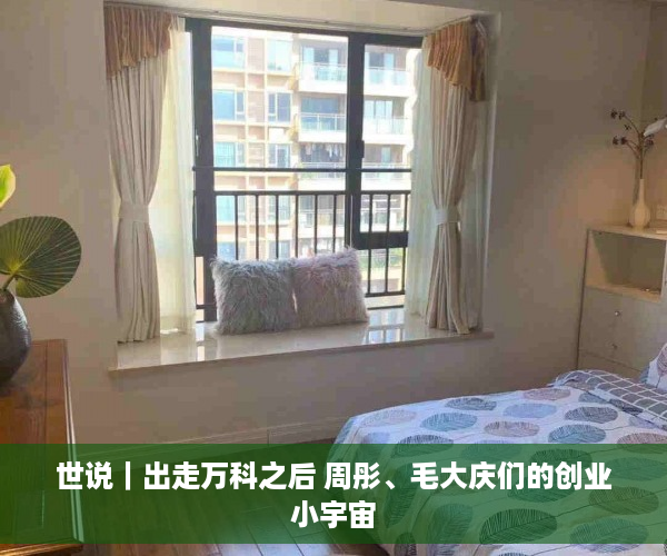 世说｜出走万科之后 周彤、毛大庆们的创业小宇宙