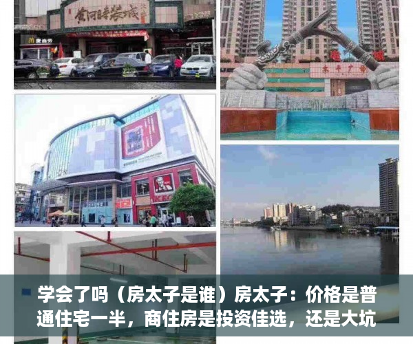 学会了吗（房太子是谁）房太子：价格是普通住宅一半，商住房是投资佳选，还是大坑？，房太子妃，