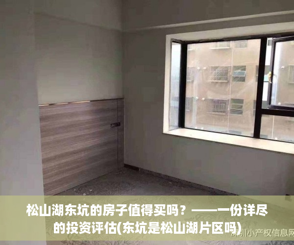 松山湖东坑的房子值得买吗？——一份详尽的投资评估(东坑是松山湖片区吗)