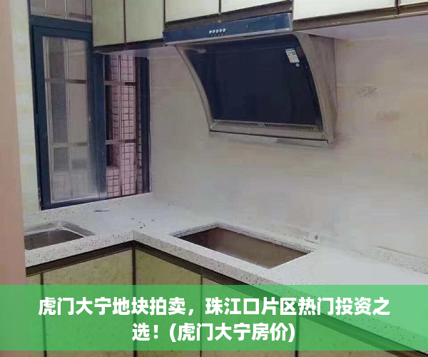虎门大宁地块拍卖，珠江口片区热门投资之选！(虎门大宁房价)