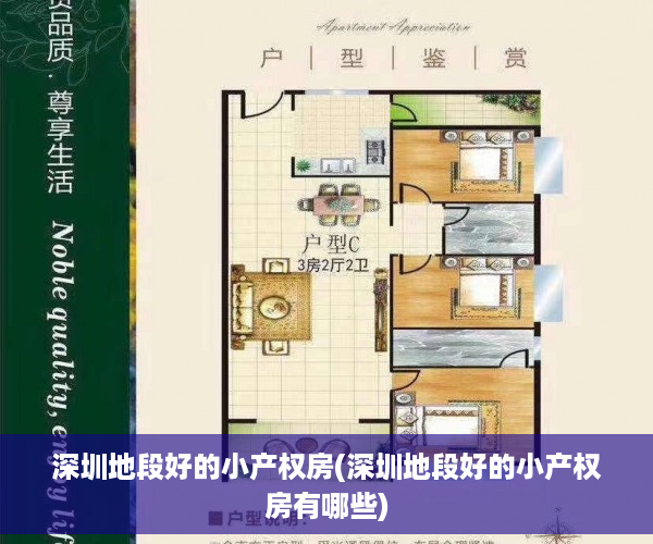 深圳地段好的小产权房(深圳地段好的小产权房有哪些)