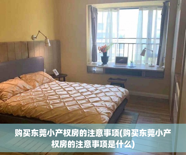 购买东莞小产权房的注意事项(购买东莞小产权房的注意事项是什么)