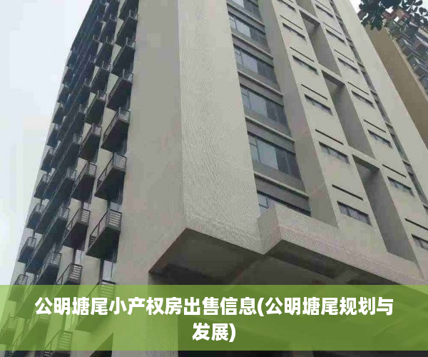 公明塘尾小产权房出售信息(公明塘尾规划与发展)
