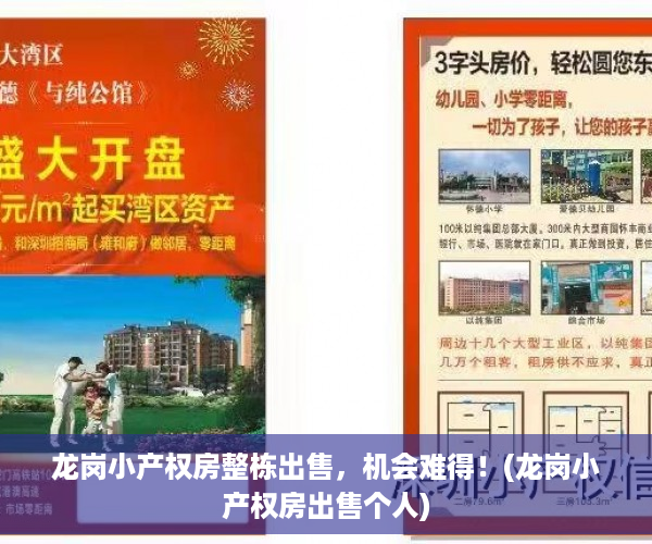 龙岗小产权房整栋出售，机会难得！(龙岗小产权房出售个人)