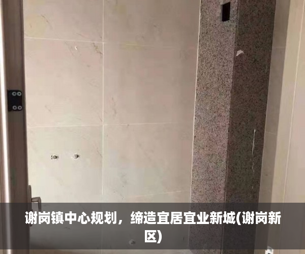 谢岗镇中心规划，缔造宜居宜业新城(谢岗新区)