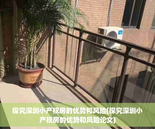 探究深圳小产权房的优势和风险(探究深圳小产权房的优势和风险论文)