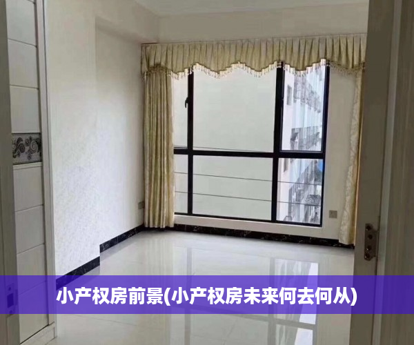 小产权房前景(小产权房未来何去何从)