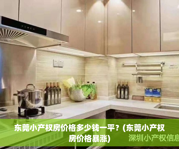 东莞小产权房价格多少钱一平？(东莞小产权房价格暴涨)