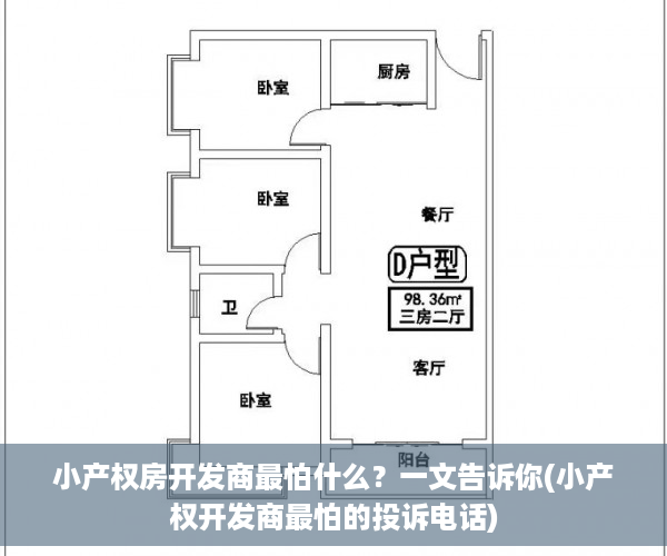 小产权房开发商最怕什么？一文告诉你(小产权开发商最怕的投诉电话)