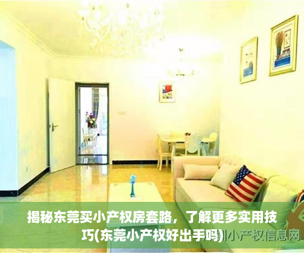 揭秘东莞买小产权房套路，了解更多实用技巧(东莞小产权好出手吗)
