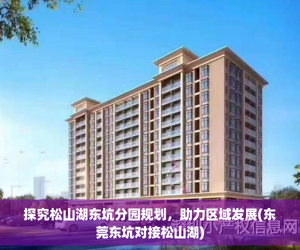 探究松山湖东坑分园规划，助力区域发展(东莞东坑对接松山湖)
