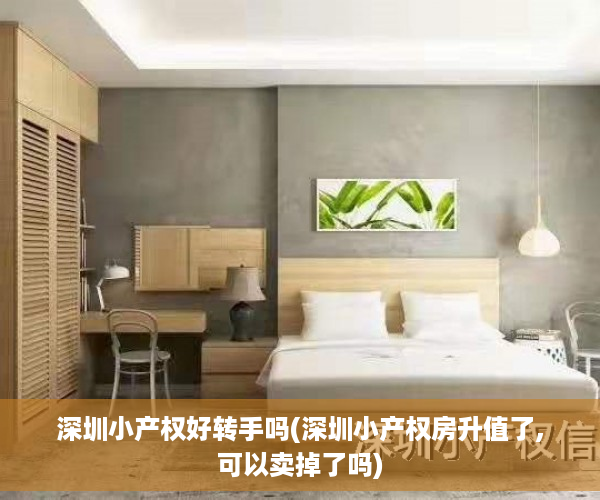 深圳小产权好转手吗(深圳小产权房升值了,可以卖掉了吗)