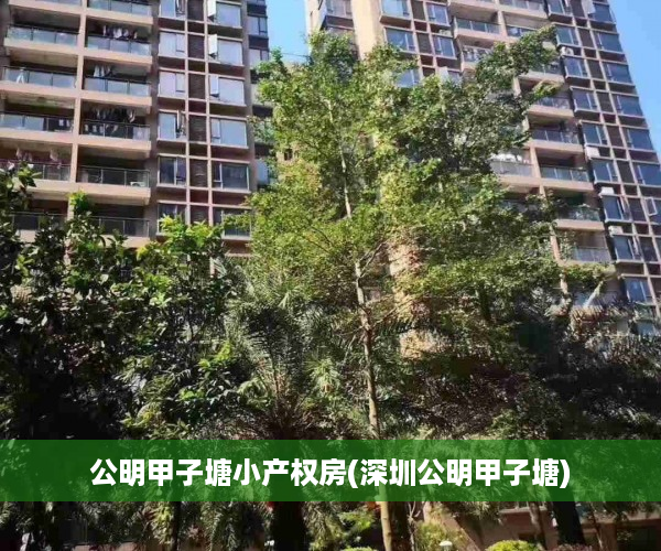 公明甲子塘小产权房(深圳公明甲子塘)
