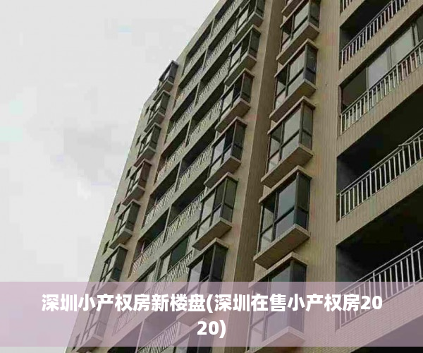 深圳小产权房新楼盘(深圳在售小产权房2020)