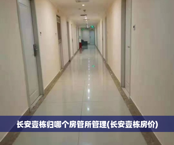 长安壹栋归哪个房管所管理(长安壹栋房价)