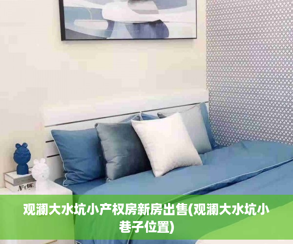 观澜大水坑小产权房新房出售(观澜大水坑小巷子位置)