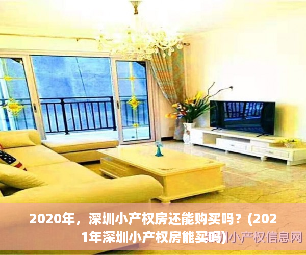 2020年，深圳小产权房还能购买吗？(2021年深圳小产权房能买吗)
