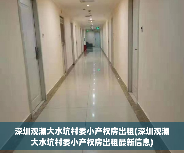 深圳观澜大水坑村委小产权房出租(深圳观澜大水坑村委小产权房出租最新信息)