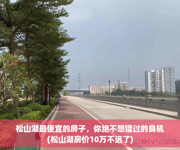 松山湖最便宜的房子，你绝不想错过的良机(松山湖房价10万不远了)