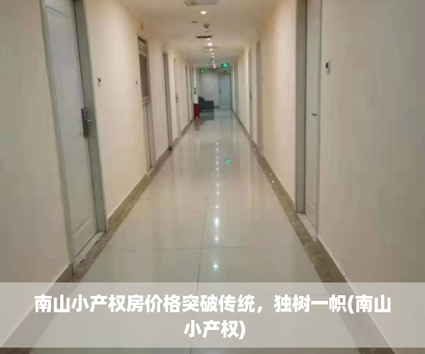 南山小产权房价格突破传统，独树一帜(南山 小产权)