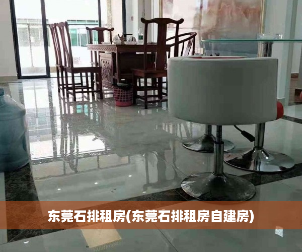 东莞石排租房(东莞石排租房自建房)