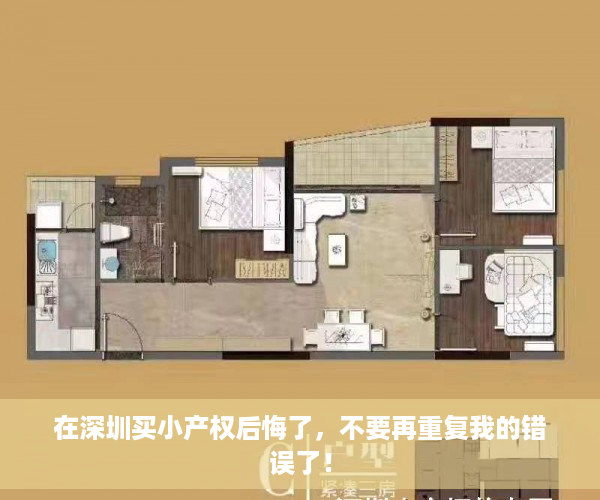在深圳买小产权后悔了，不要再重复我的错误了！