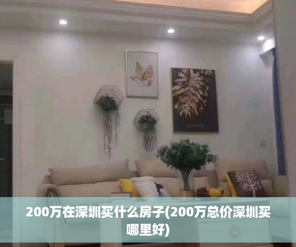 200万在深圳买什么房子(200万总价深圳买哪里好)