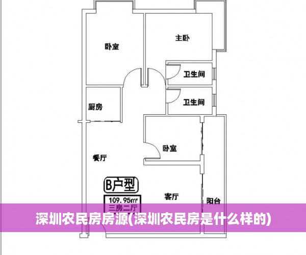 深圳农民房房源(深圳农民房是什么样的)