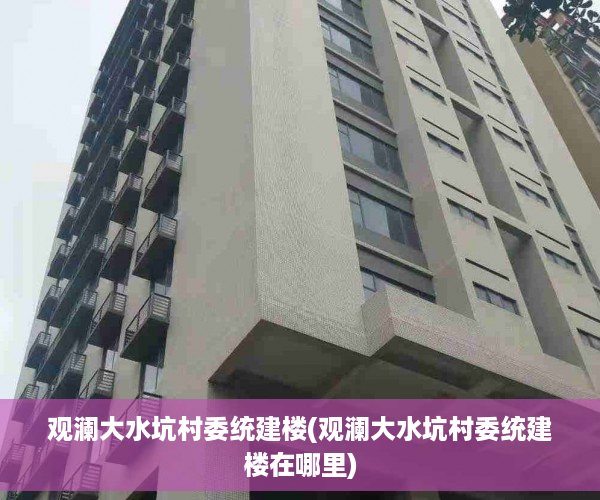 观澜大水坑村委统建楼(观澜大水坑村委统建楼在哪里)