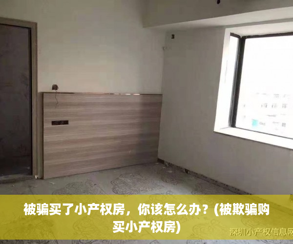 被骗买了小产权房，你该怎么办？(被欺骗购买小产权房)