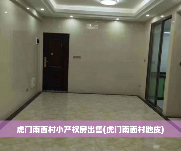 虎门南面村小产权房出售(虎门南面村地皮)