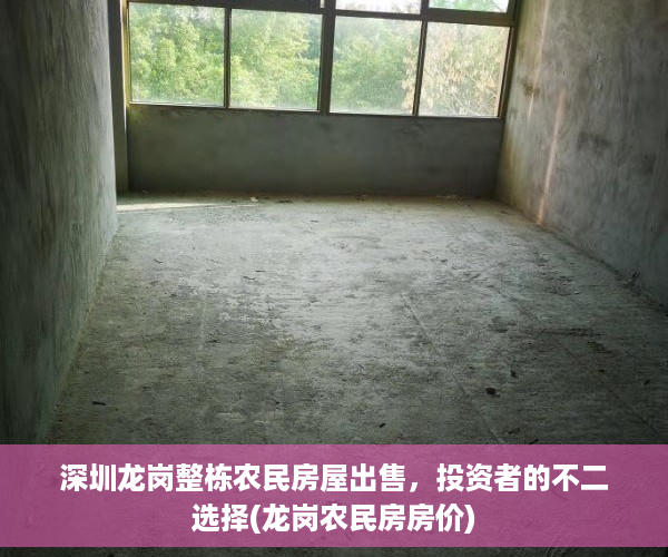 深圳龙岗整栋农民房屋出售，投资者的不二选择(龙岗农民房房价)