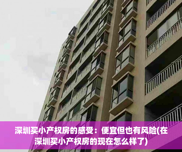 深圳买小产权房的感受：便宜但也有风险(在深圳买小产权房的现在怎么样了)