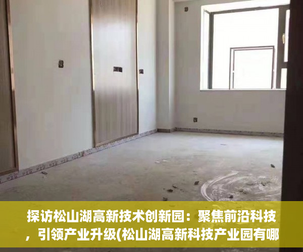 探访松山湖高新技术创新园：聚焦前沿科技，引领产业升级(松山湖高新科技产业园有哪些企业)