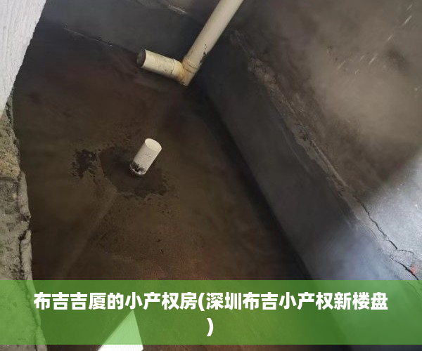 布吉吉厦的小产权房(深圳布吉小产权新楼盘)