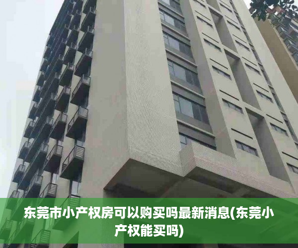 东莞市小产权房可以购买吗最新消息(东莞小产权能买吗)