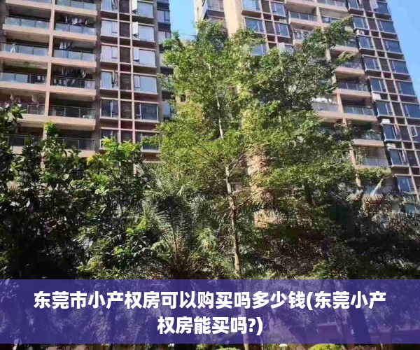 东莞市小产权房可以购买吗多少钱(东莞小产权房能买吗?)