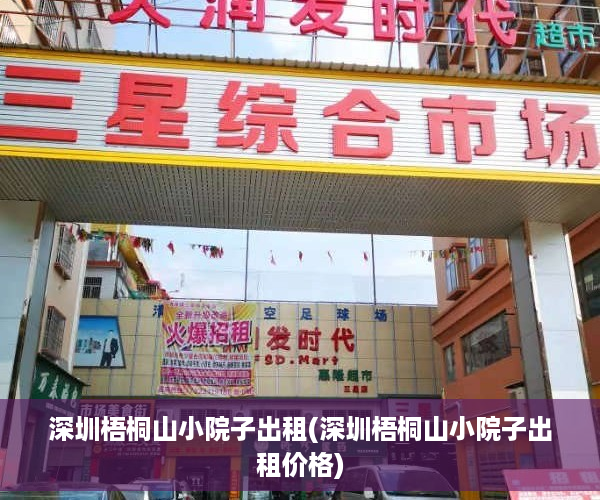 深圳梧桐山小院子出租(深圳梧桐山小院子出租价格)